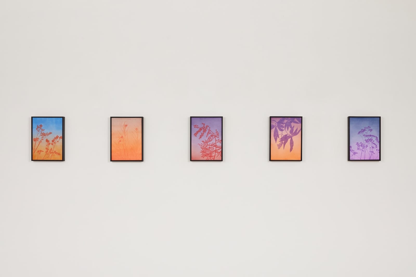 Clément Davout, Crépuscule #65, 2023
