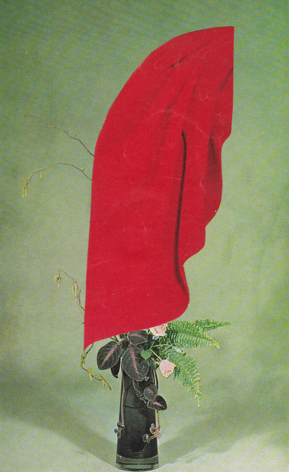 Audrey Guttman, Draped Vine, 2020