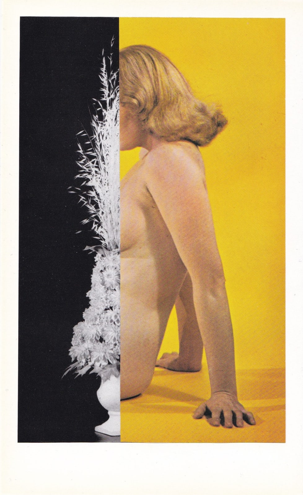 Audrey Guttman, Venus in bloom 2, 2021
