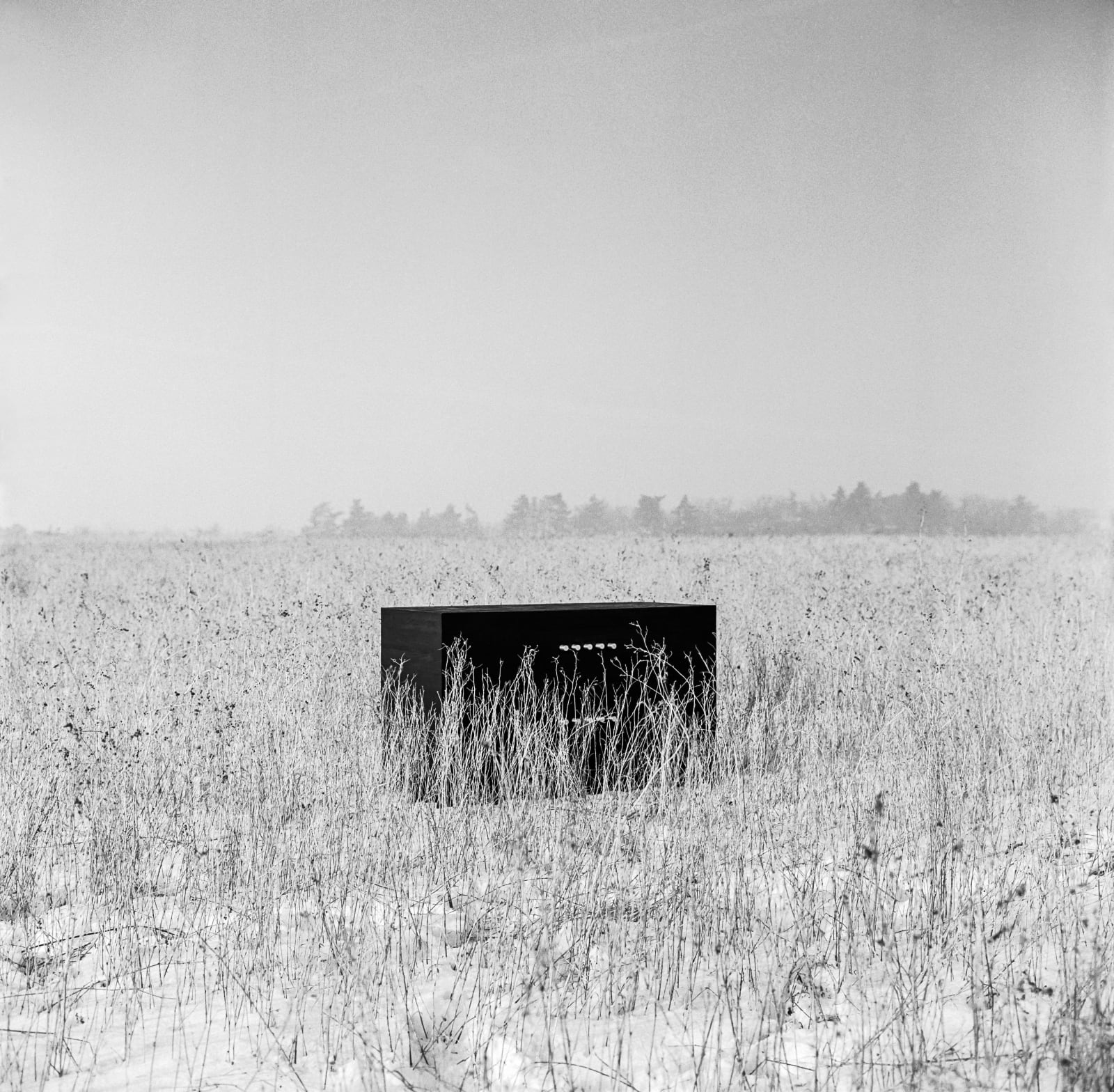 Jean-Michel Wilmotte, Buffet Palmer, Ca. 1988