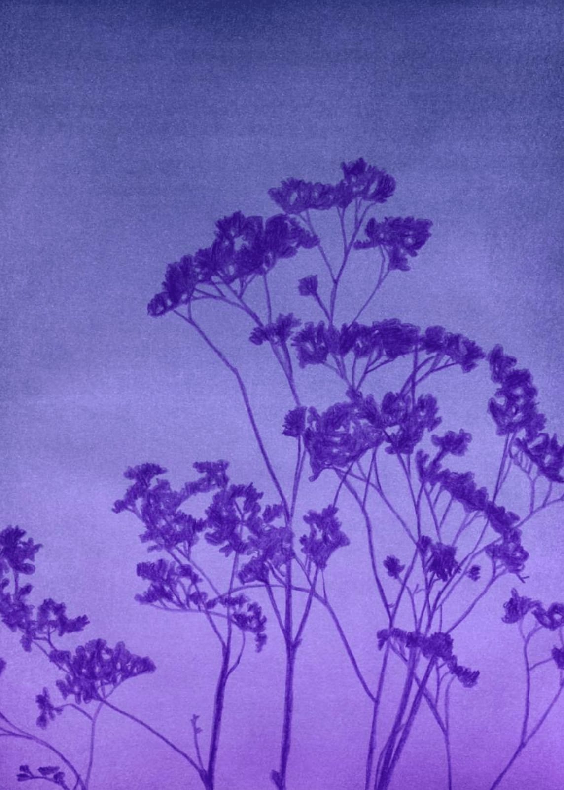Clément Davout, Crépuscule #60, 2023