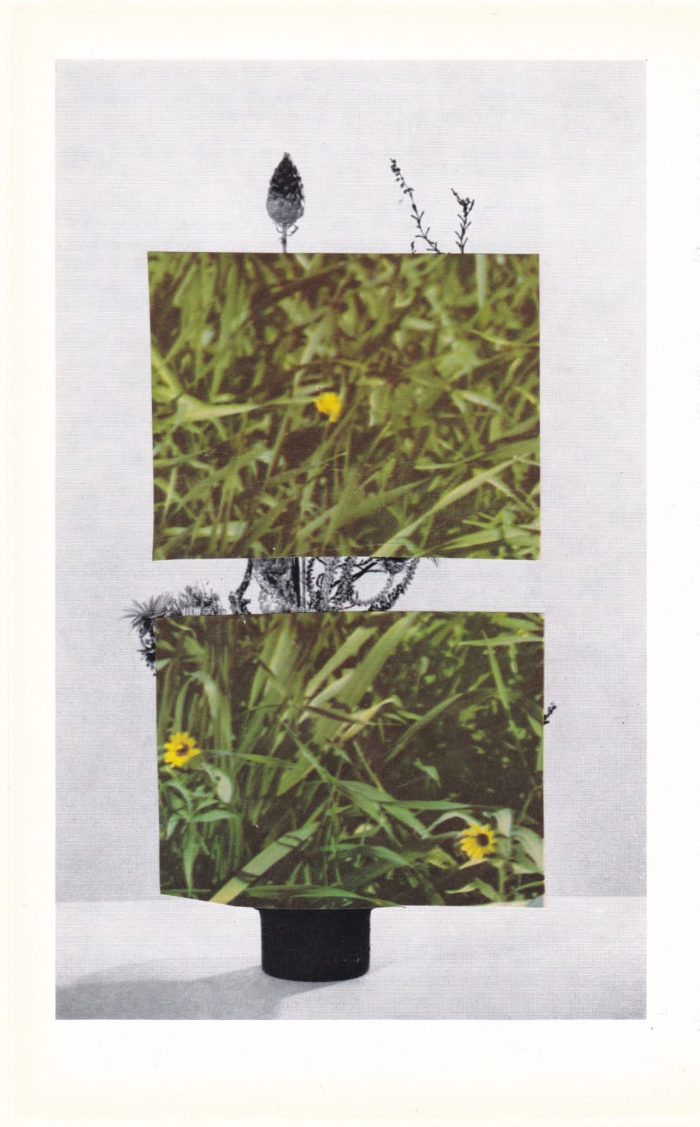Audrey Guttman, Double patch, 2020