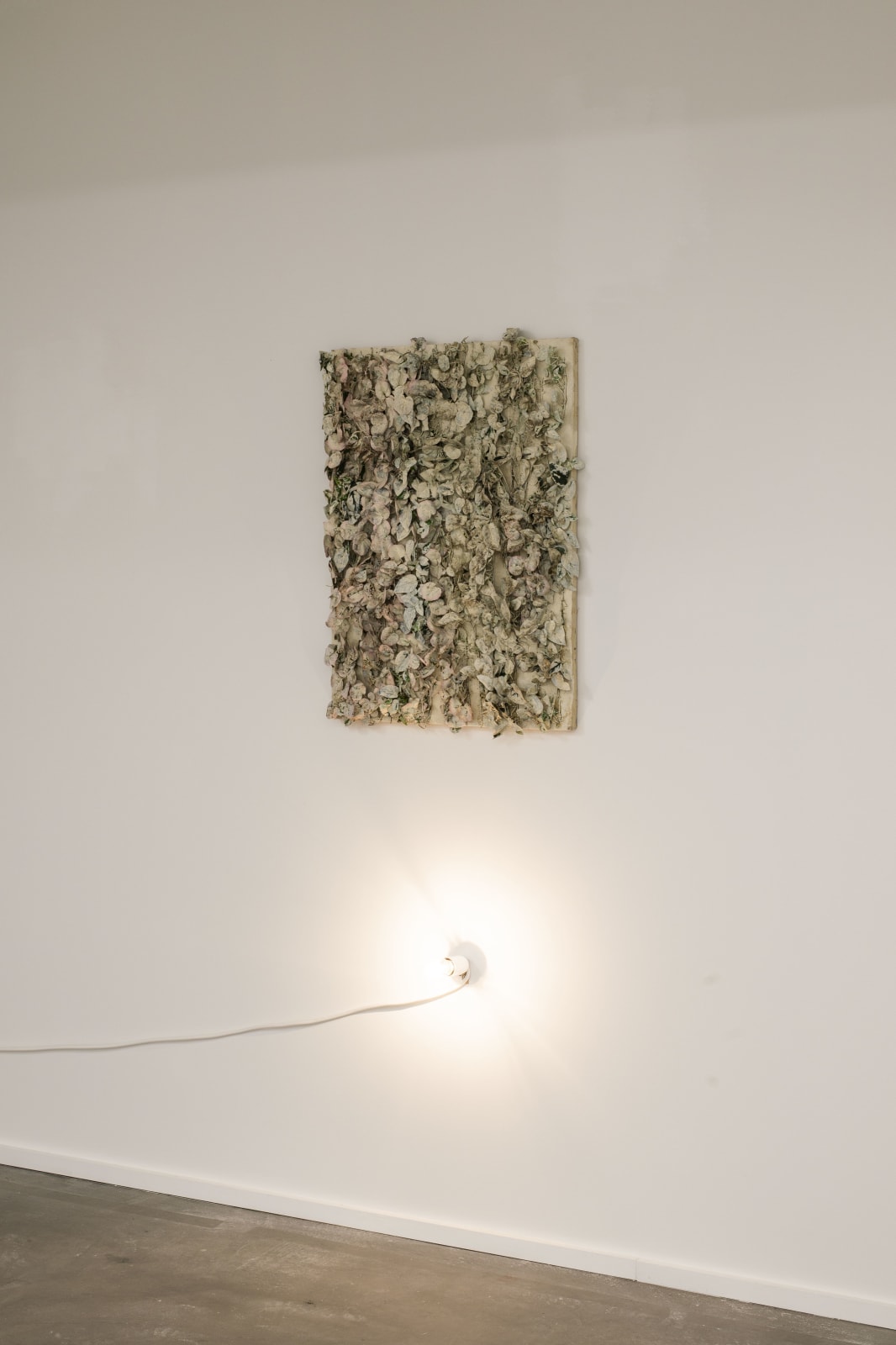 Lawrence Carroll, Untitled, 2000