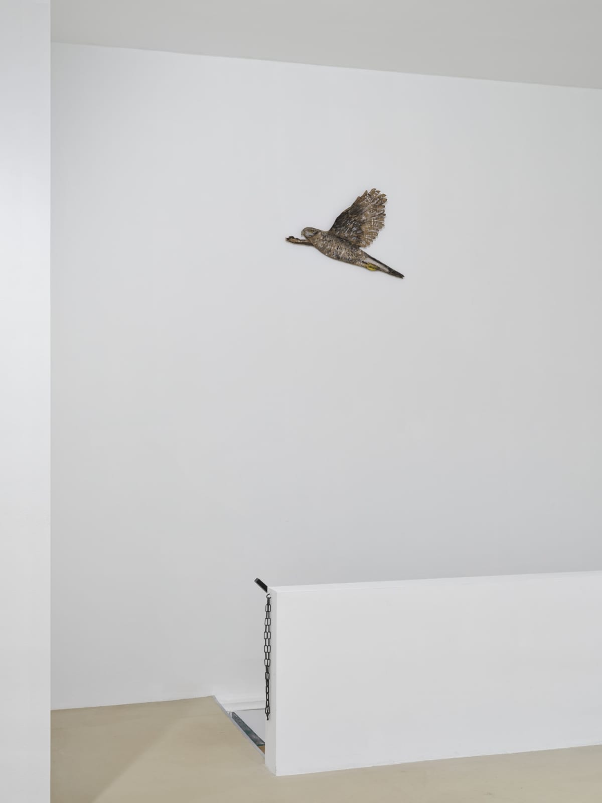 Stephan Balkenhol, Adler, 2021