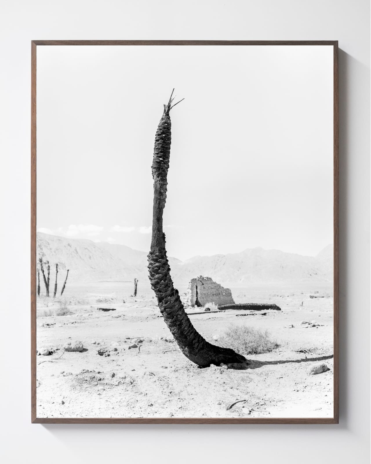 Sybren Vanoverberghe, From the series Conference of the