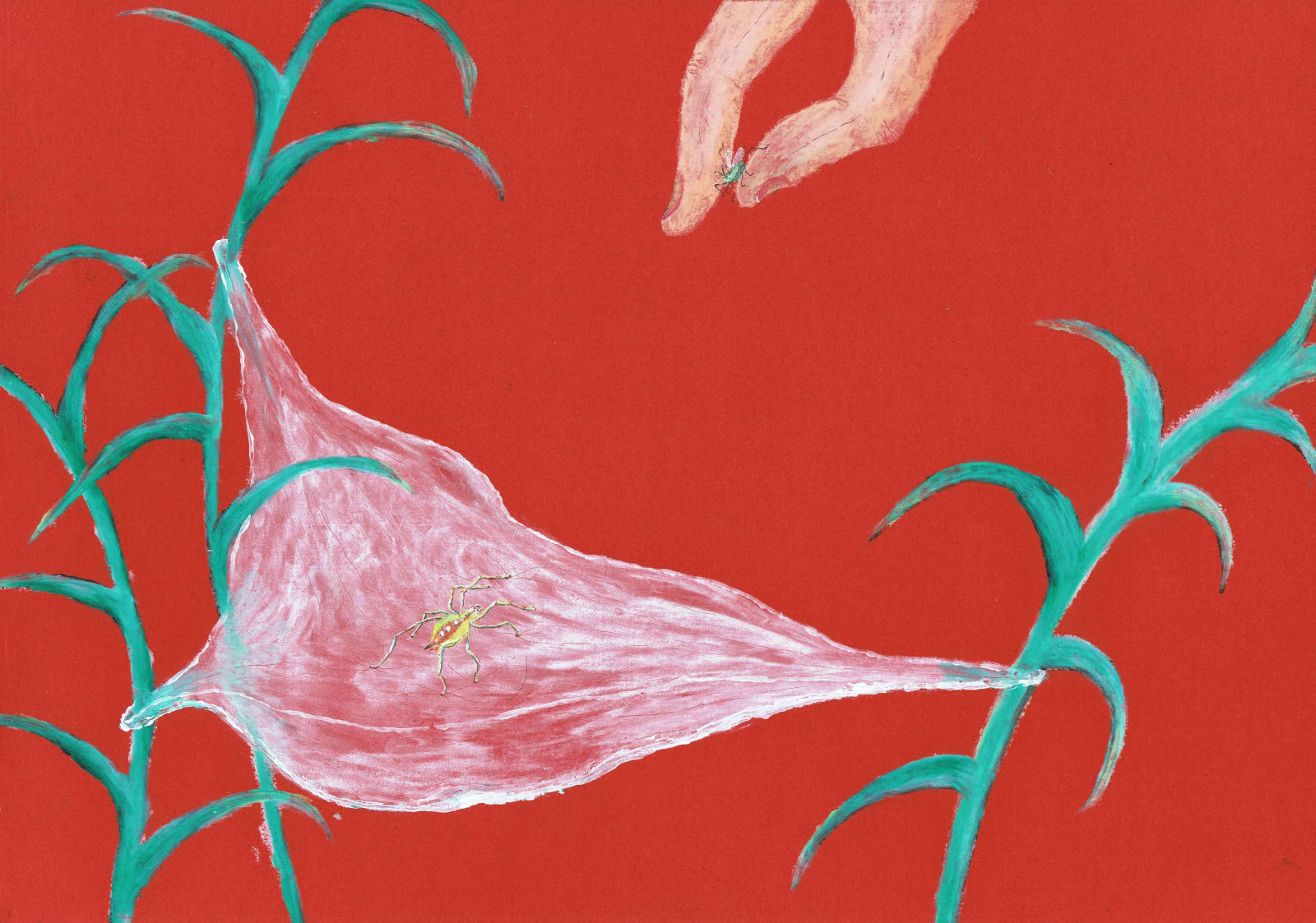 Clara Spilliaert, Untitled, 2017