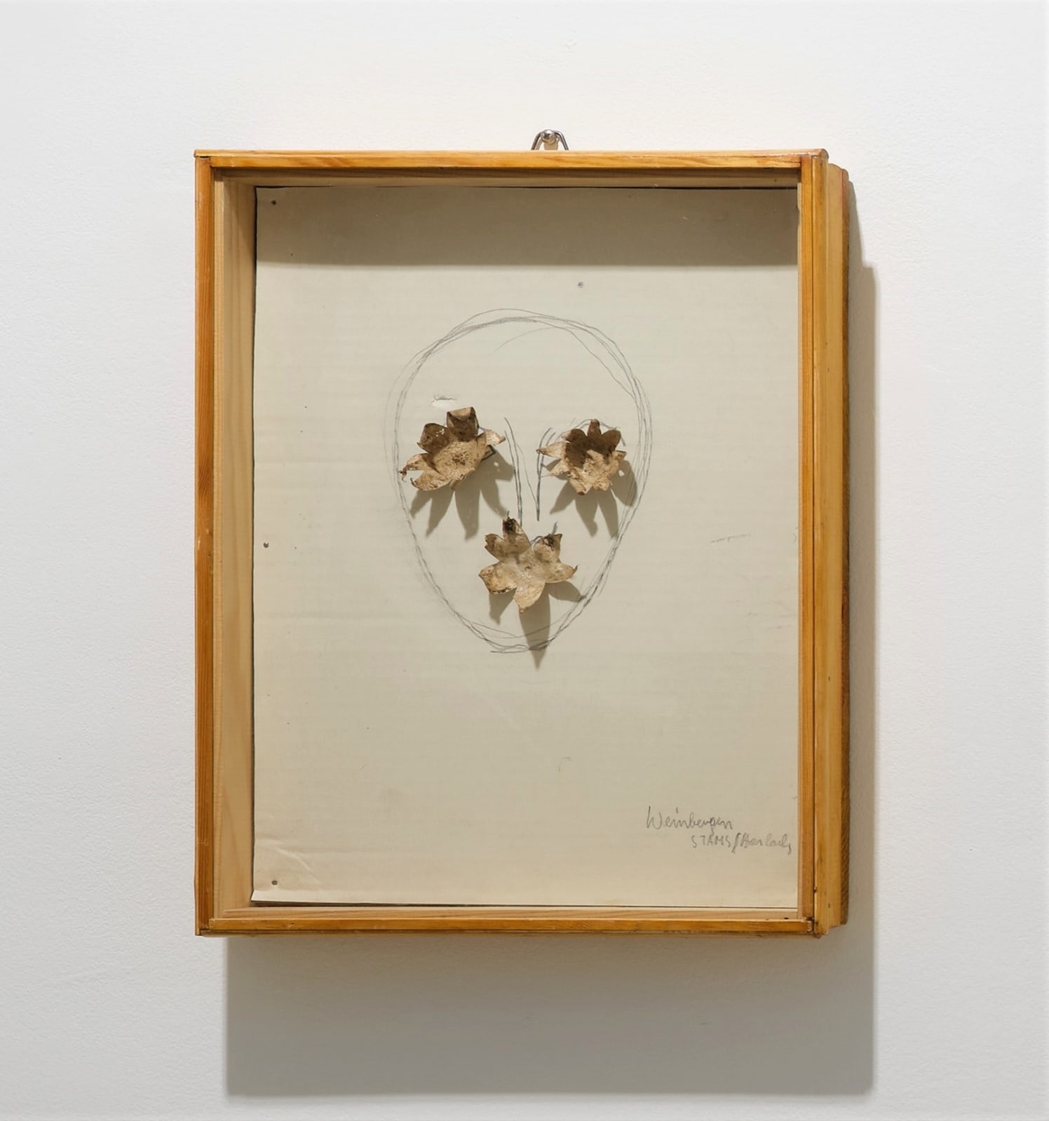 Lois Weinberger, Erdsterne aus "Wirtsruttig", 1975