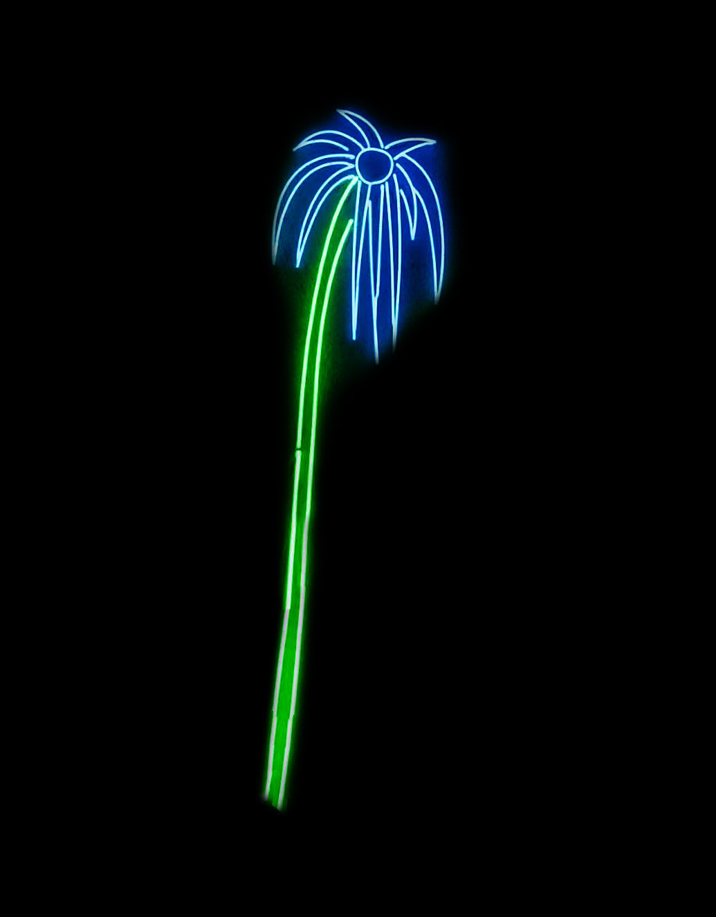 Daan Gielis, Wilting Flower #6, 2022