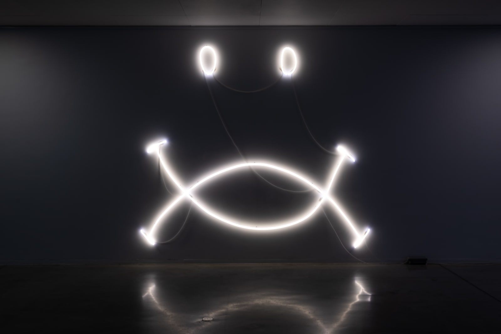 Daan Gielis, Happy Sad, 2019