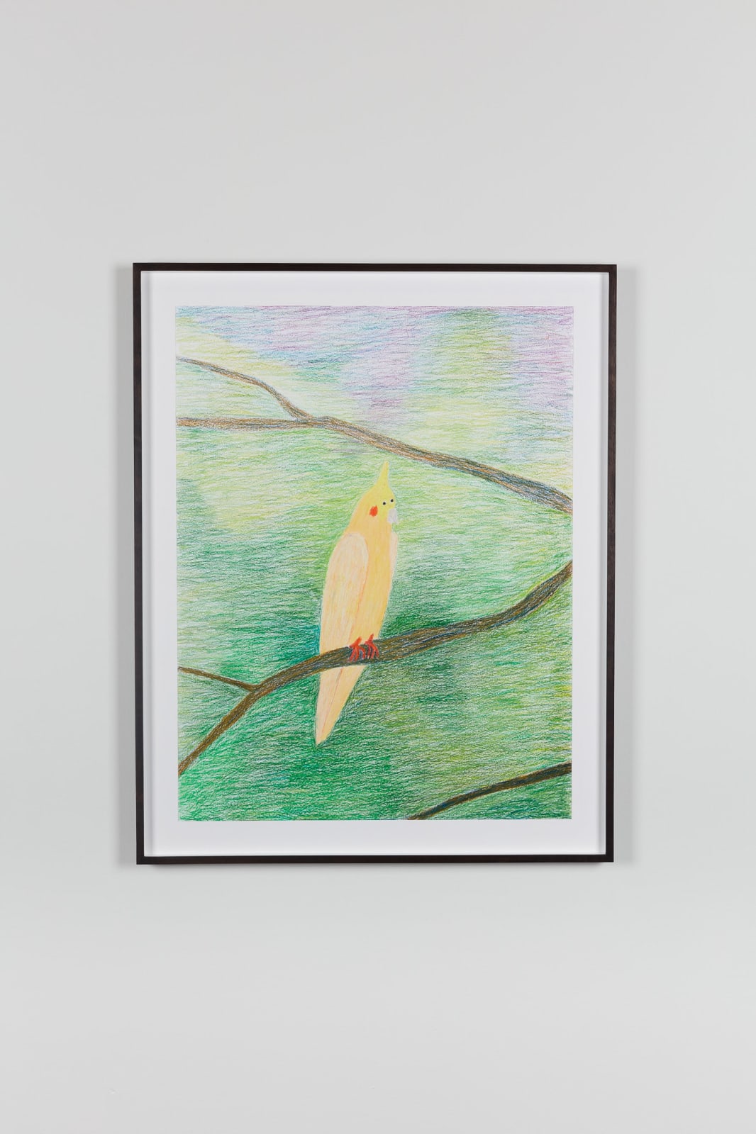 Valgerður Sigurðardóttir, Parrot series, 2022