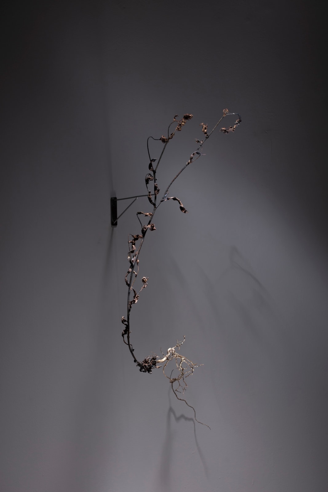 Javier Pérez, STILL LIFE (Weeds) III, 2025