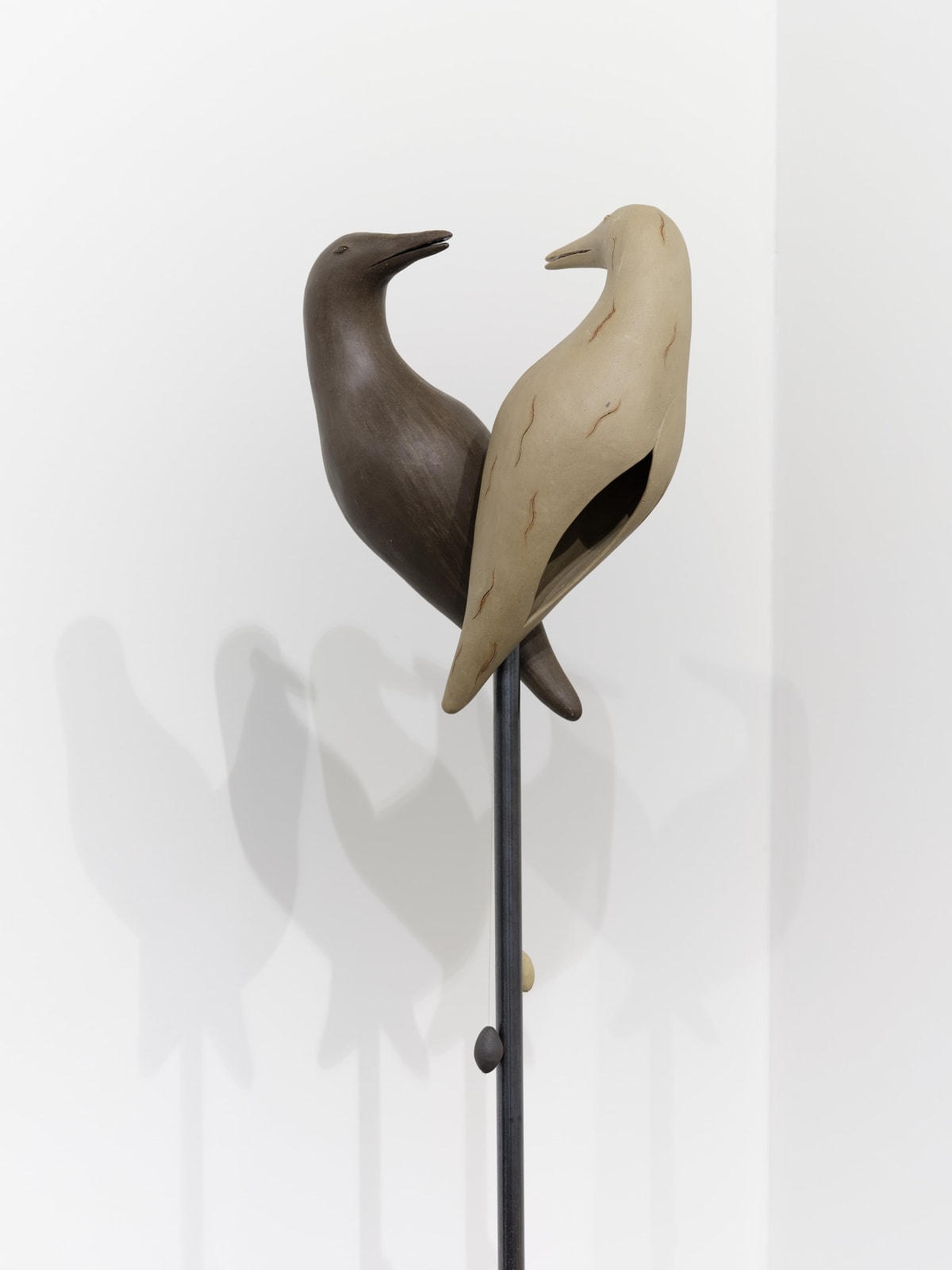 Clara Spilliaert, Fluistervogel - Wond & Zwart, 2024