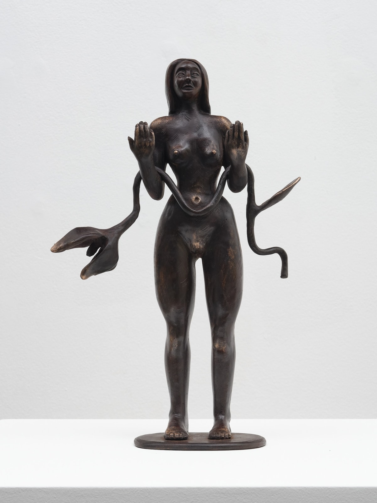 Joëlle Dubois, Catharsis 1, 2025