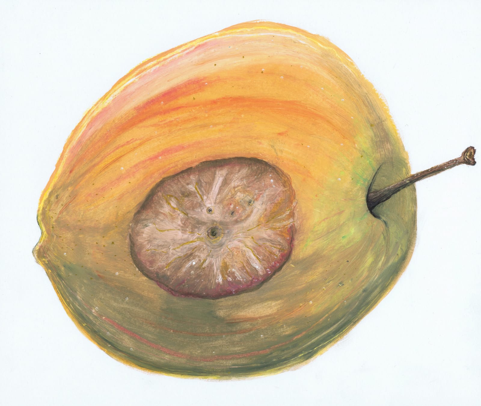 Clara Spilliaert, Untitled, 2017