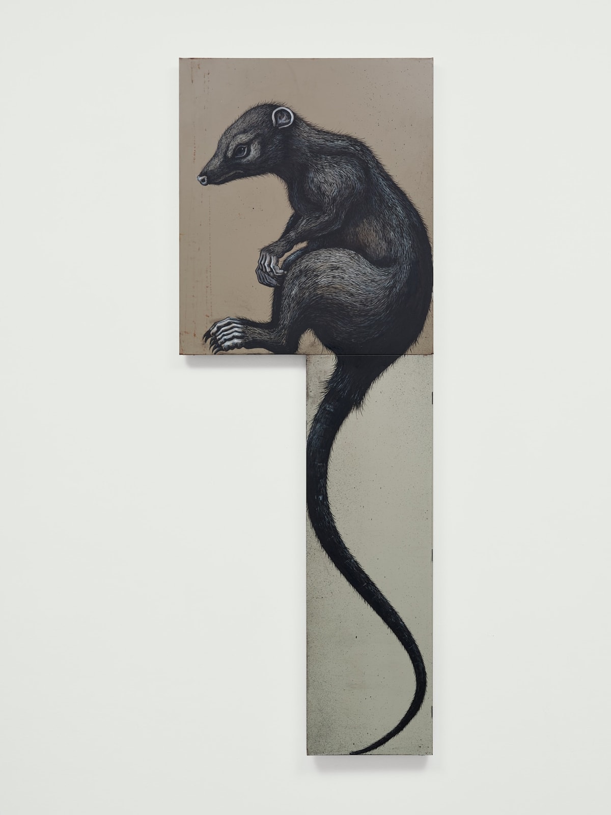 ROA, DIDELPHIS VIRGINIANA - N-Am Opossum, 2022