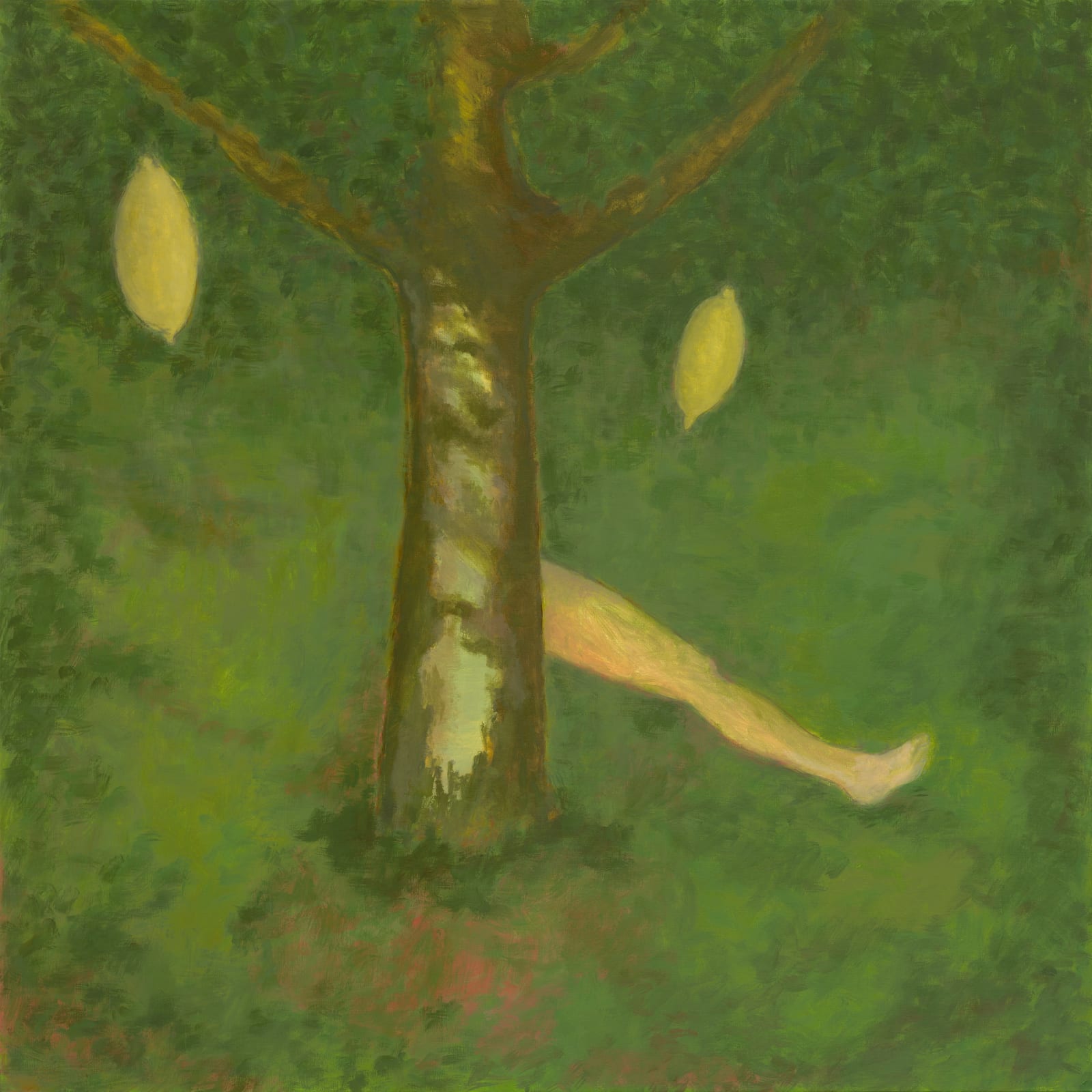 Guy Van Bossche, Wild Lemons #4, 2024