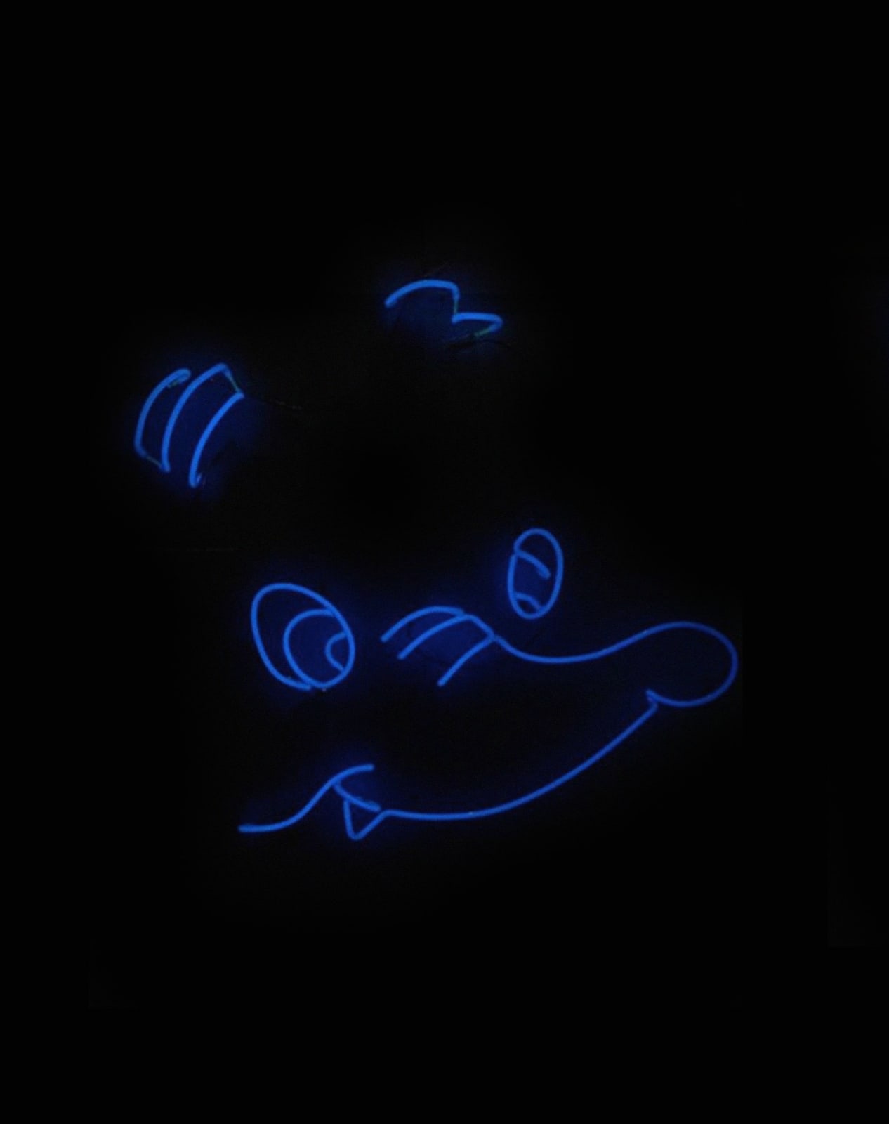 Daan Gielis, Sad Dumbo, 2020