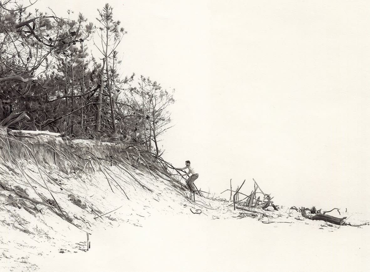 Fabien Mérelle, Forêt, 2024