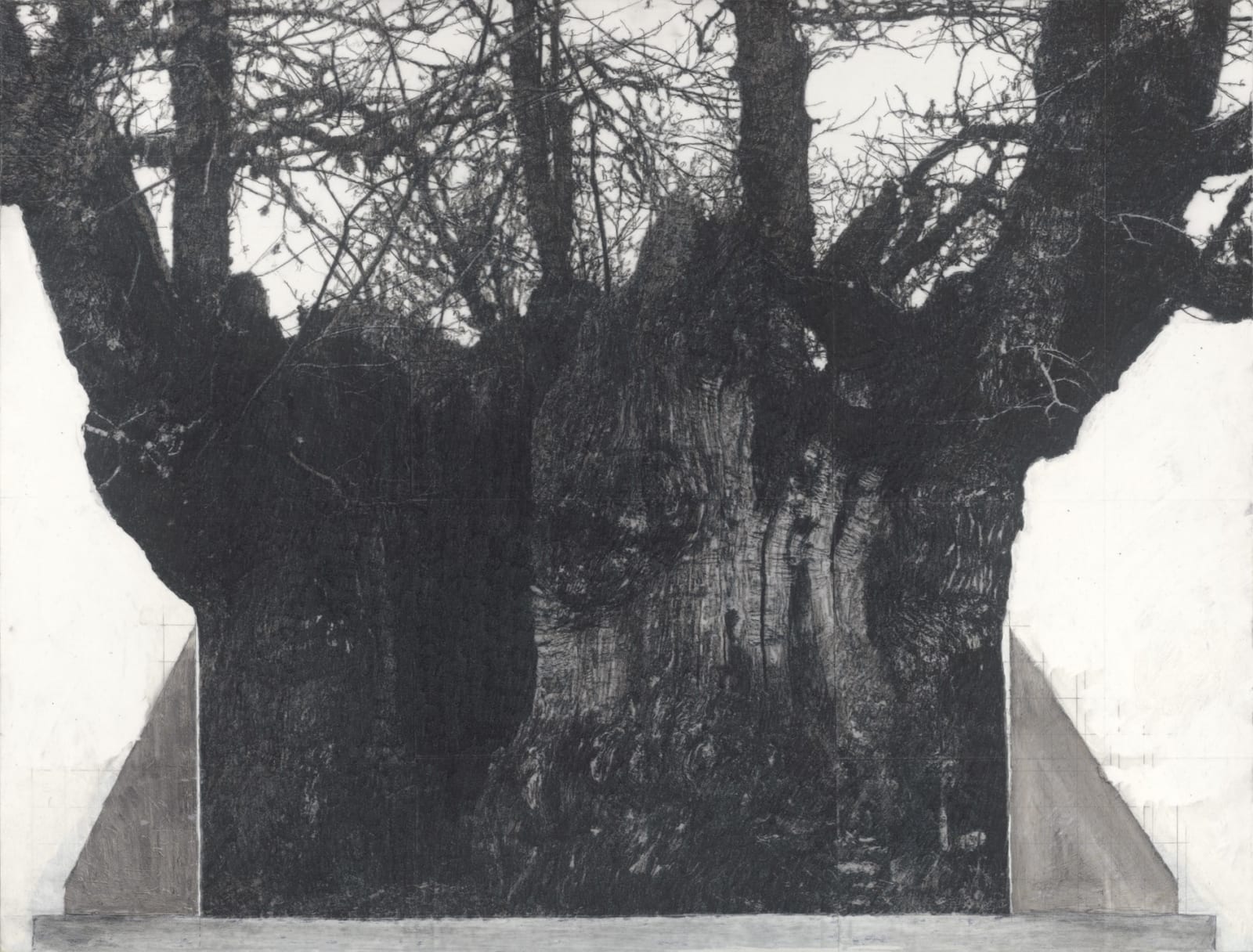 Patrick Van Caeckenbergh, Drawings of Old Trees on Wintry Days during 2007 - 2014, 2007 - 2014
