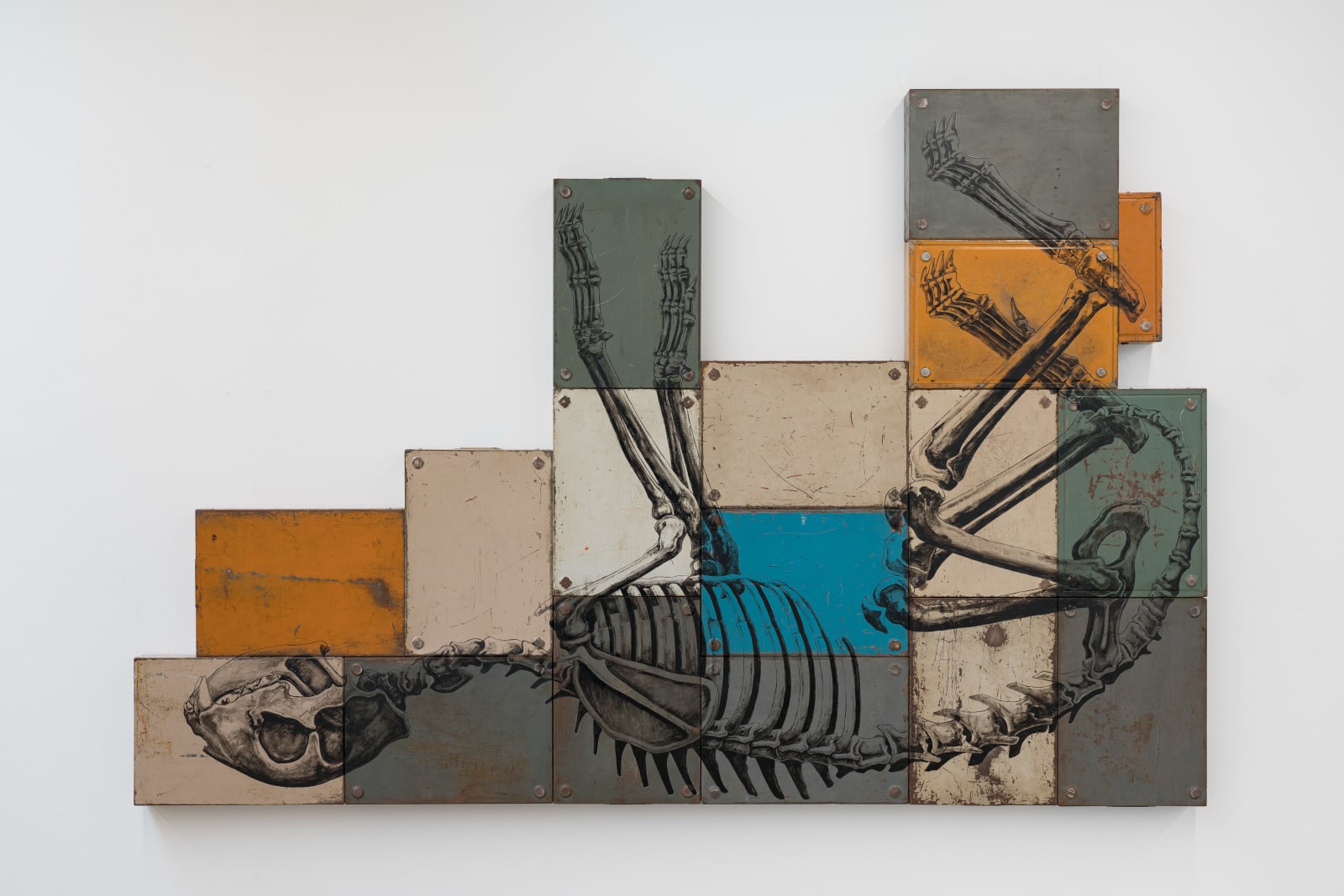 ROA, LYNX LYNX SKELETON (Eurasian Lynx - Euraziatische Lynx), 2023