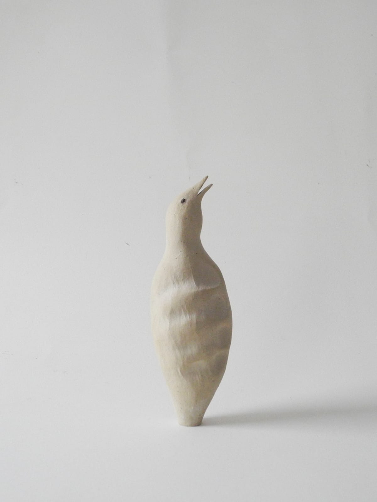 Clara Spilliaert, Little bird 02, 2021