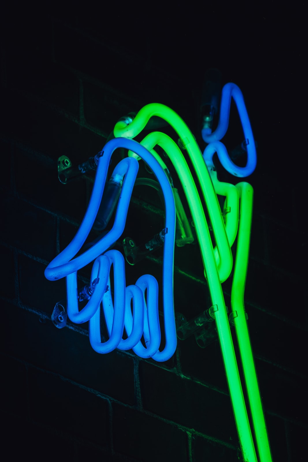 Daan Gielis, Wilting Flower #3, 2022