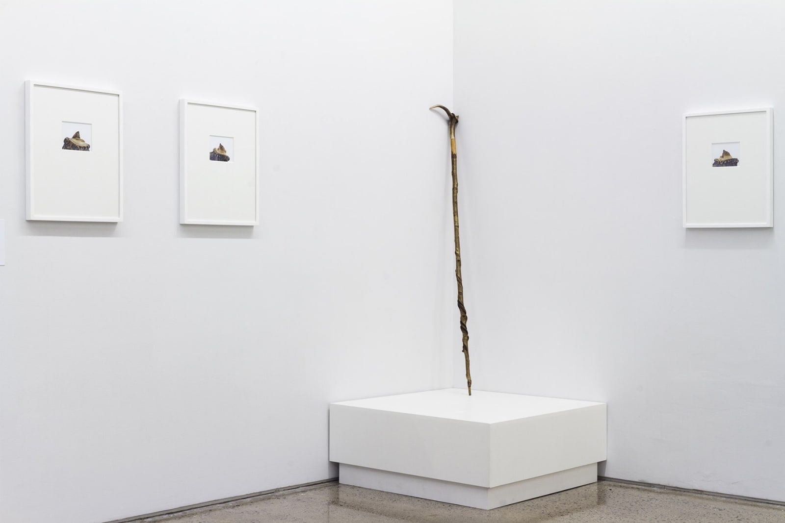 Sean Lynch, A Murmur Repeated, 2020