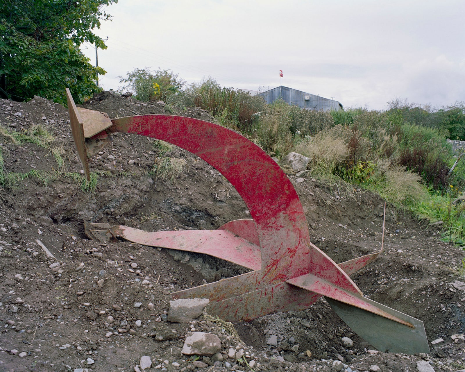 Sean Lynch, Adventure: Capital, 2015