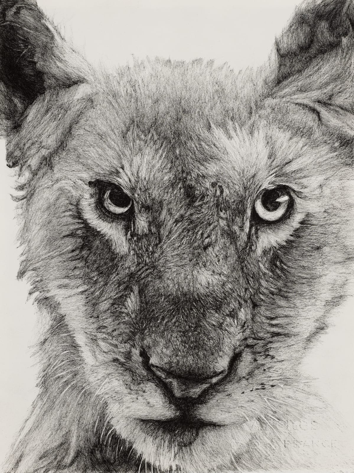 Paul McKinley, Lion, 2020
