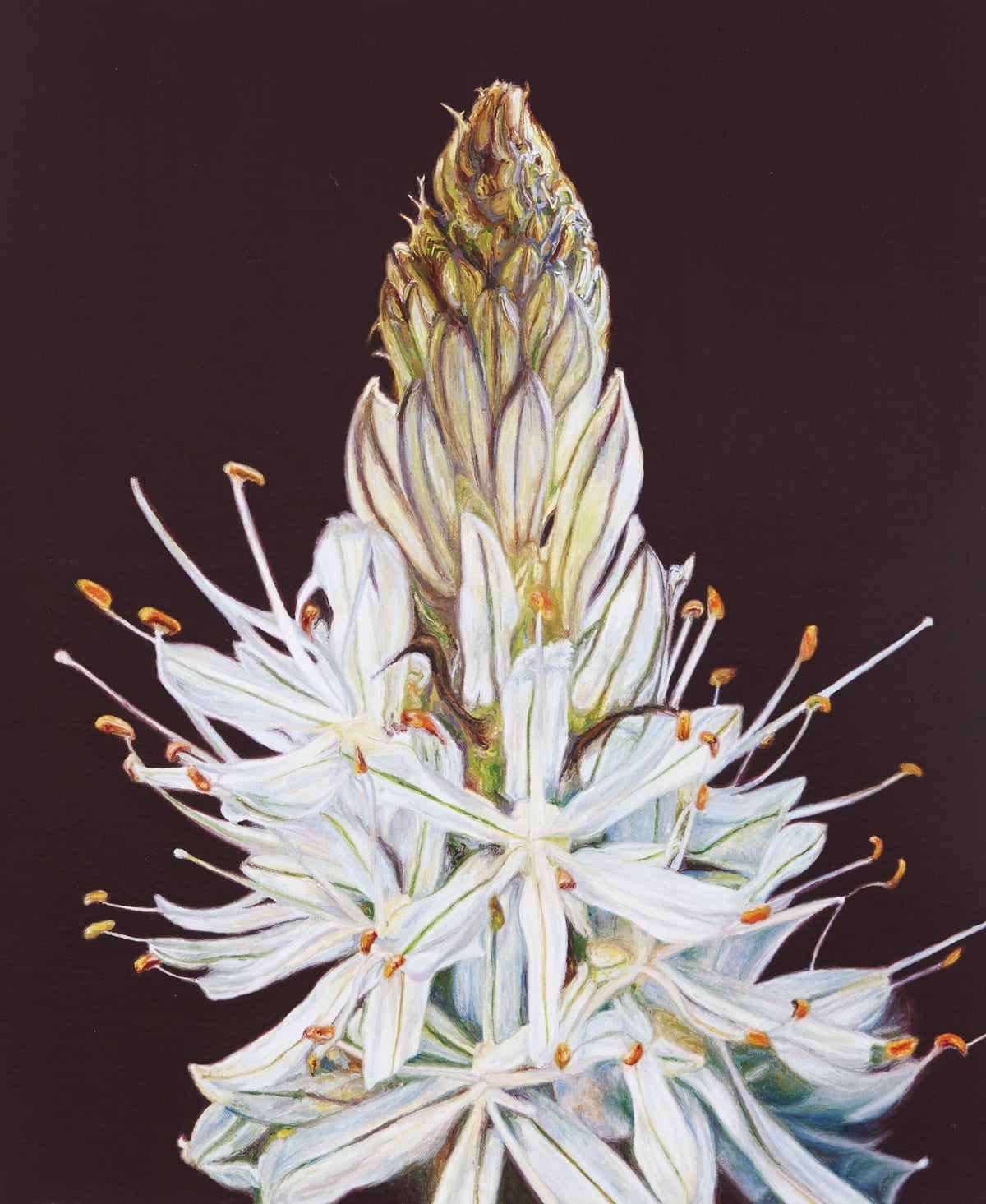 Paul McKinley, Asphodelus, 2018