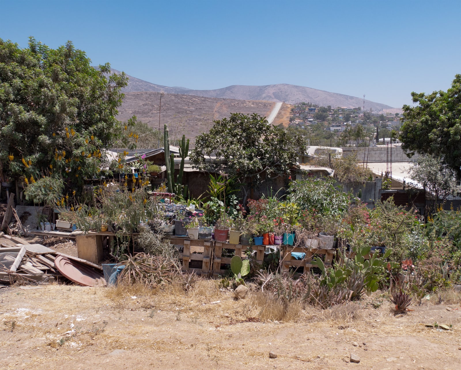 Elaine Byrne, Vis a vis Prototype wall VIII, Mexico, 2025