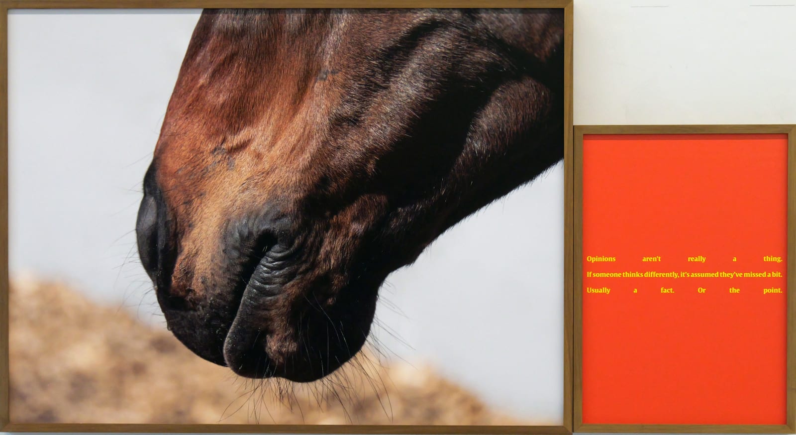 Elaine Byrne, The houyhnhnms 3, 2025