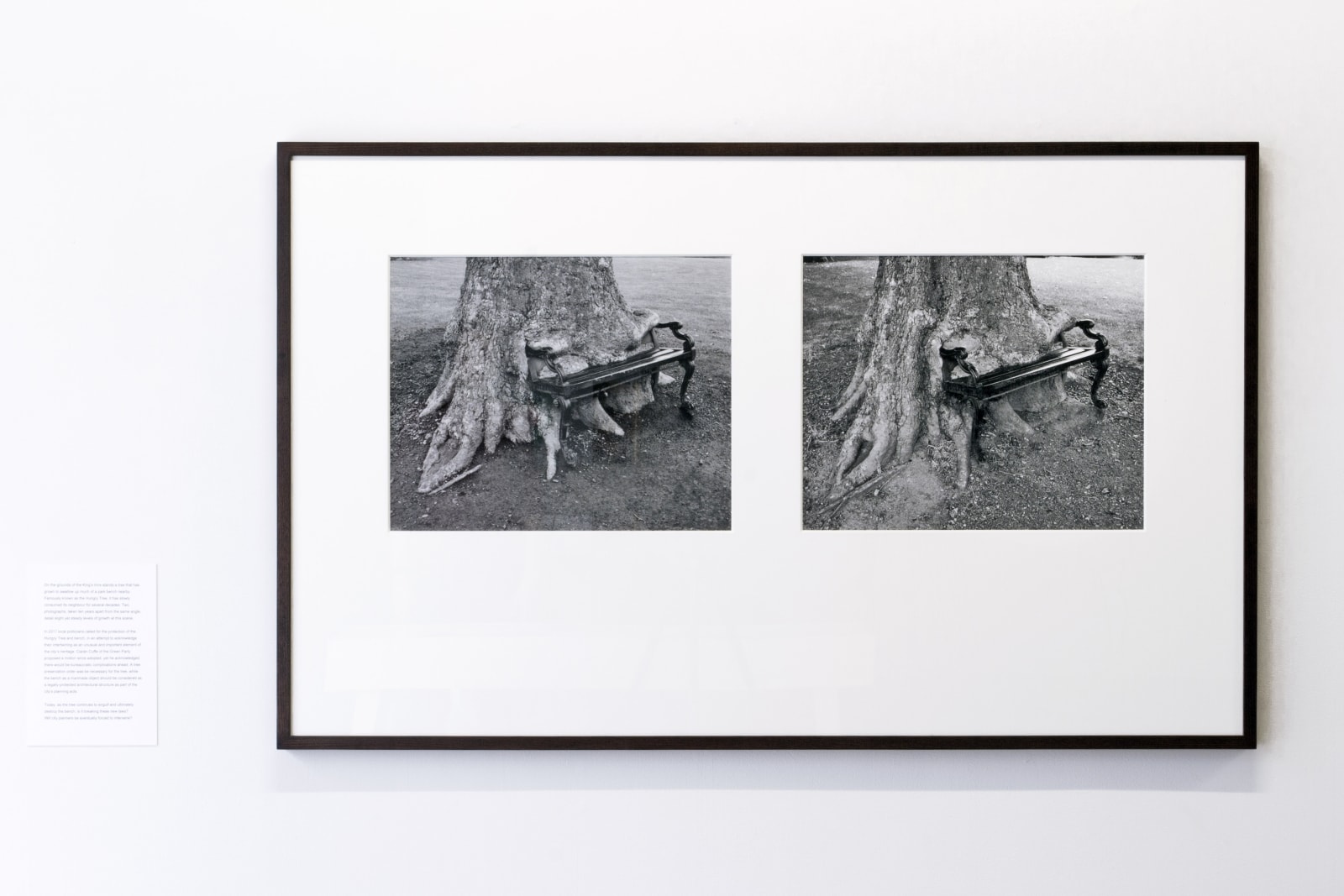 Sean Lynch, A Murmur Repeated, 2020