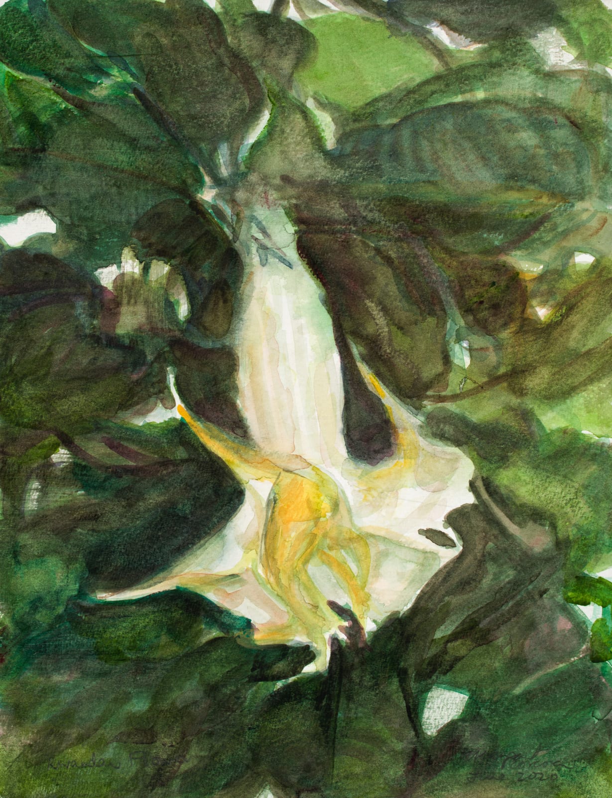 Margaret Corcoran, Rwandan Flower, June 2020