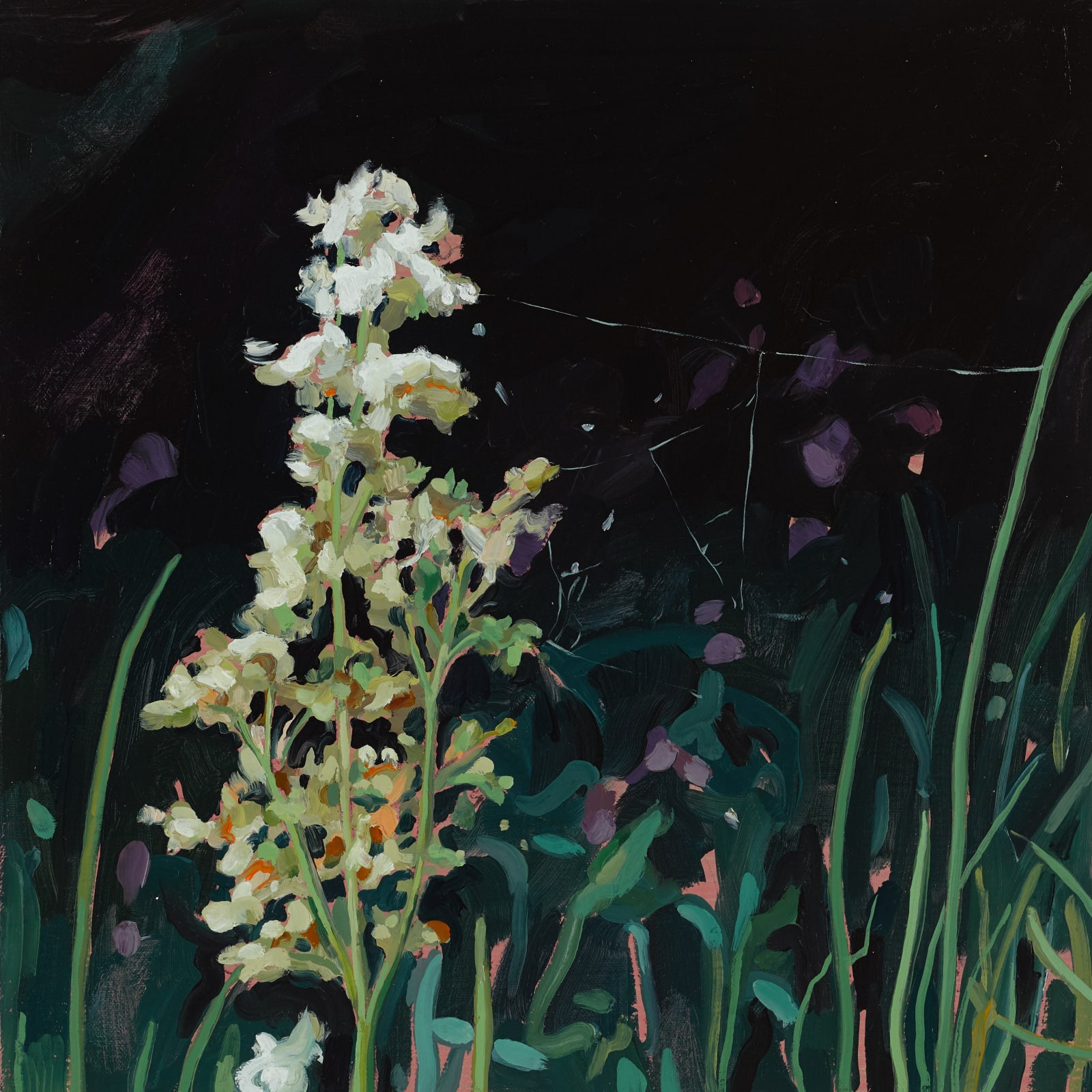 Cecilia Danell, Wetland, 2020