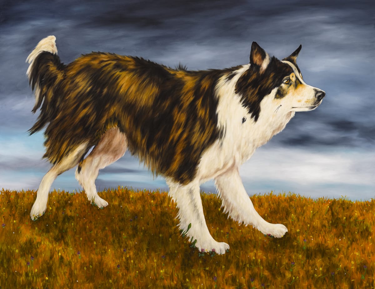 Dermot Seymour, Brexit Border Dog, 2017