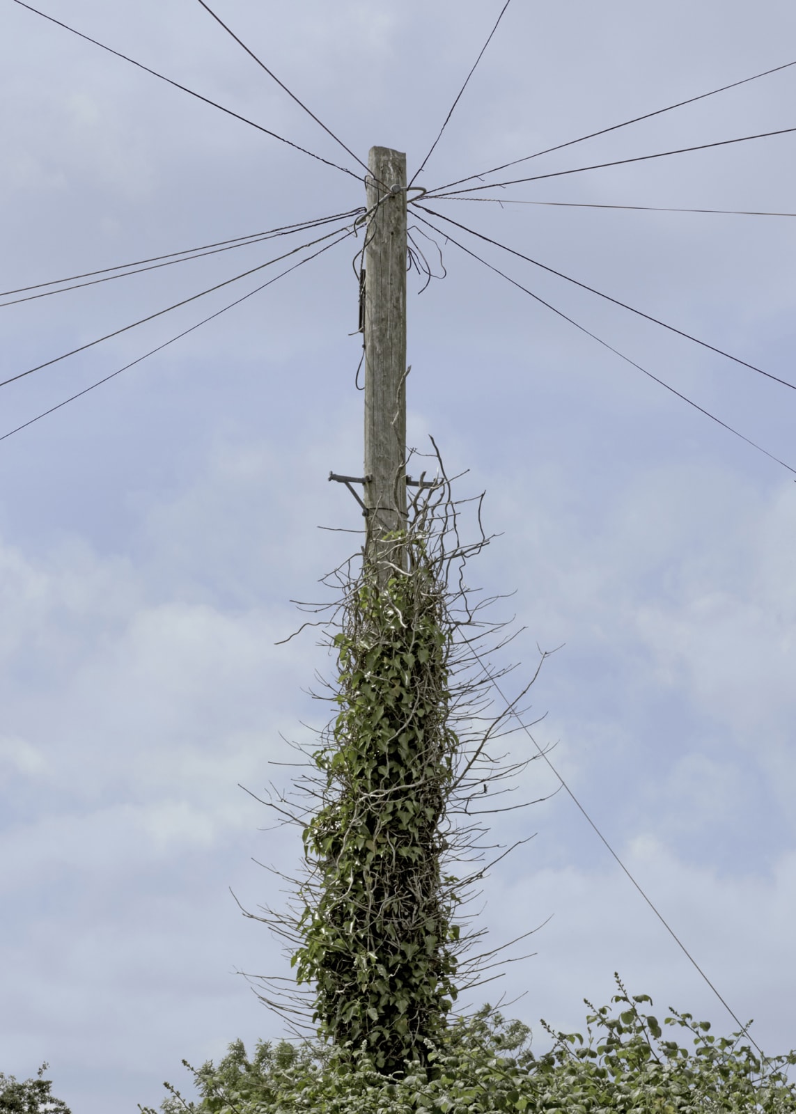 Michael Boran, Totem, 2015