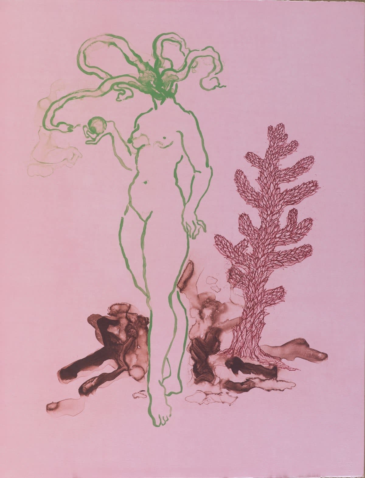 Alice Maher, La Majer Sierpa, 2014