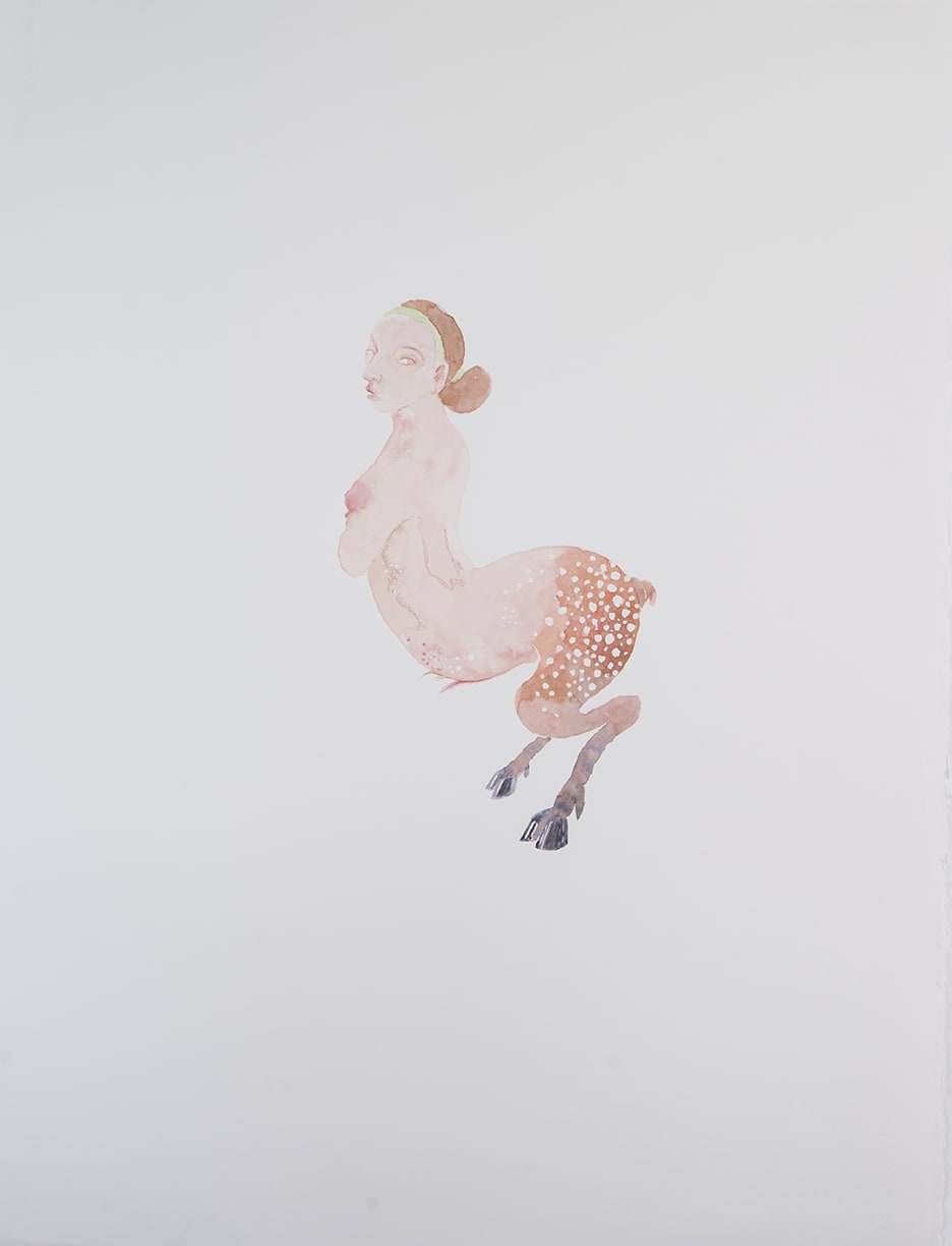 Alice Maher, Hind, 2015