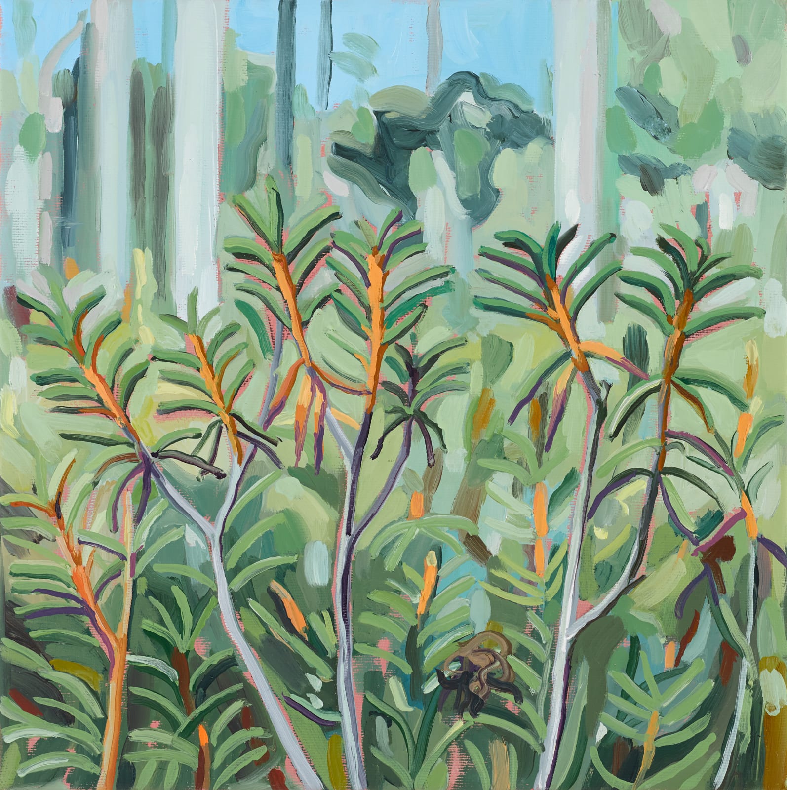 Cecilia Danell, Labrador Tea, 2020