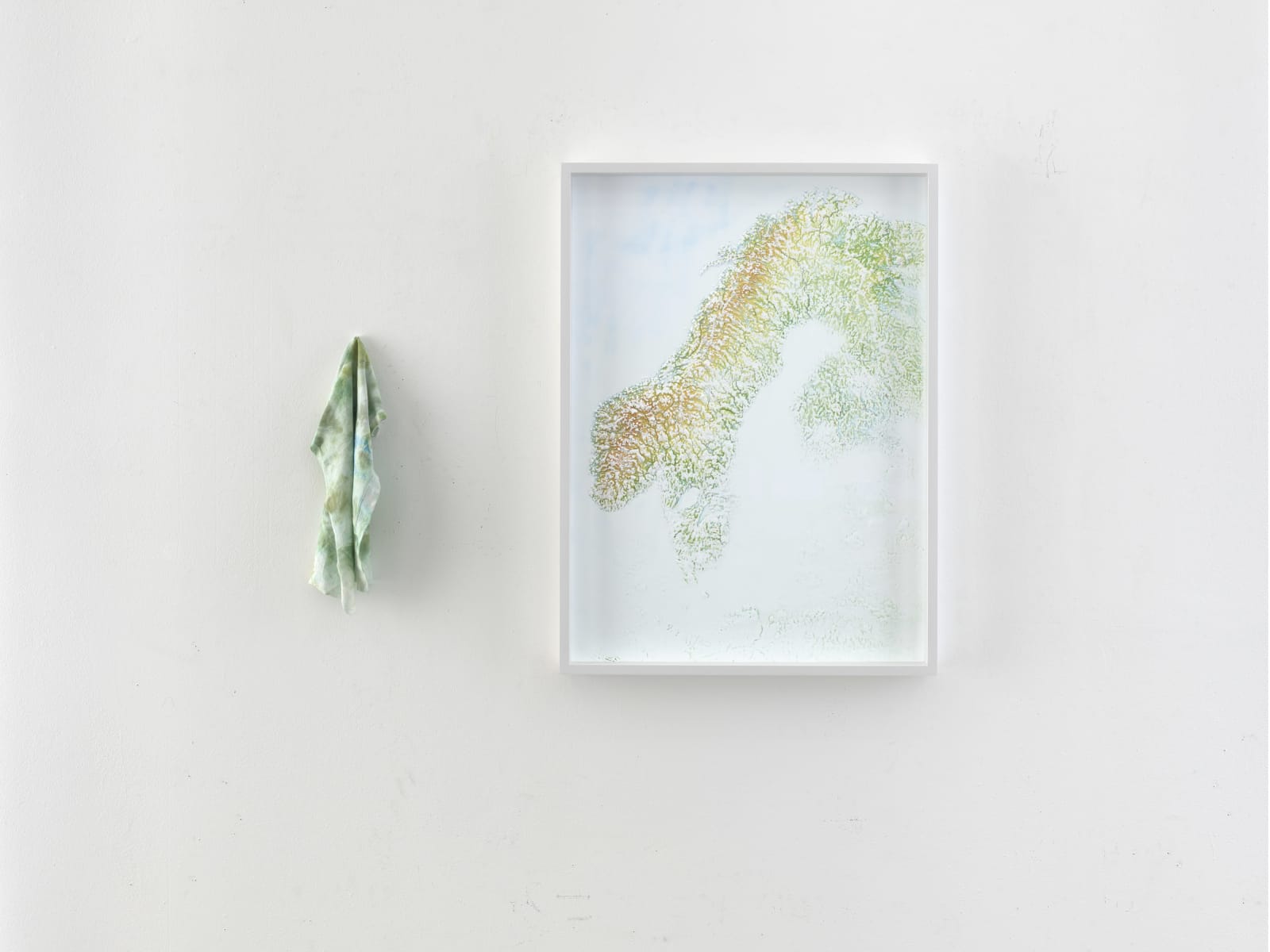 Ulrich Vogl, Decolorized, 2018