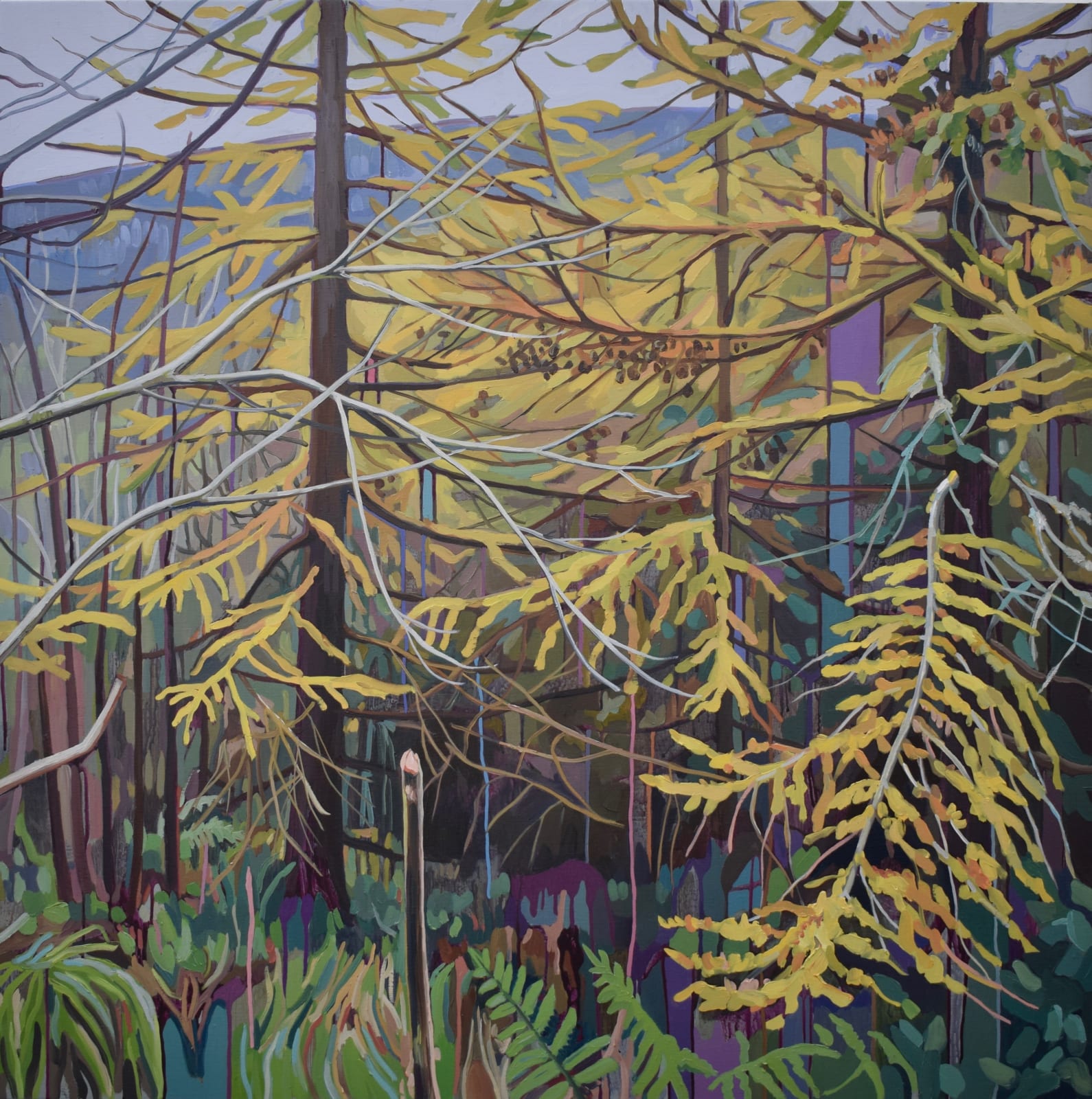 Cecilia Danell, Ballinglen Larch, 2021