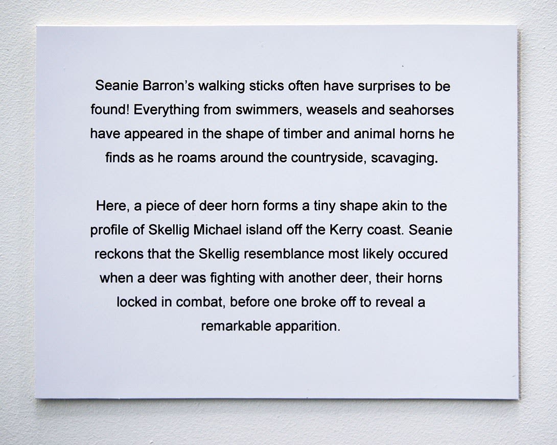 Sean Lynch, A Murmur Repeated, 2020