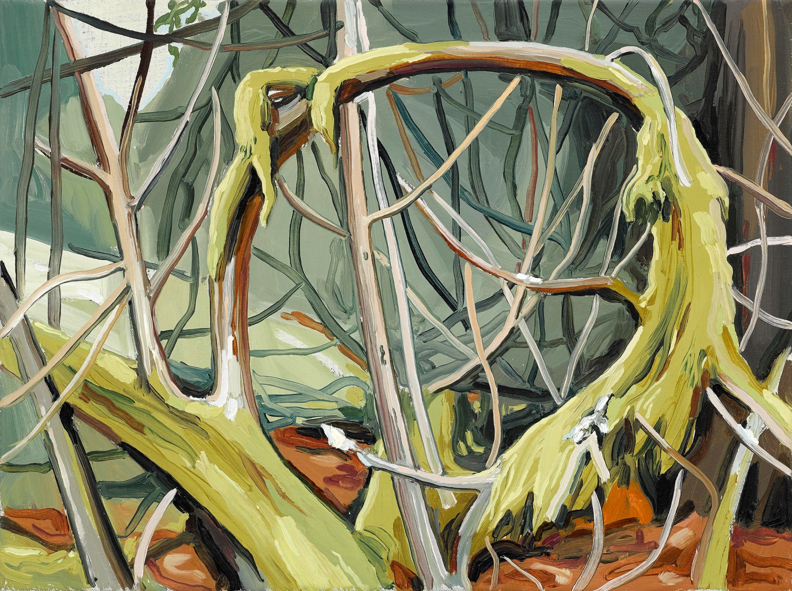 Cecilia Danell, Ouroboro, 2017
