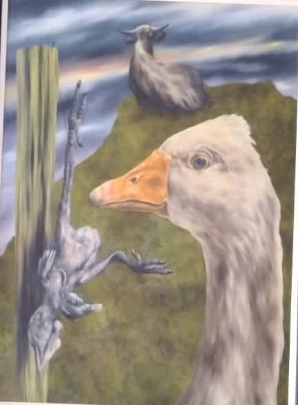 Dermot Seymour, The Patriot