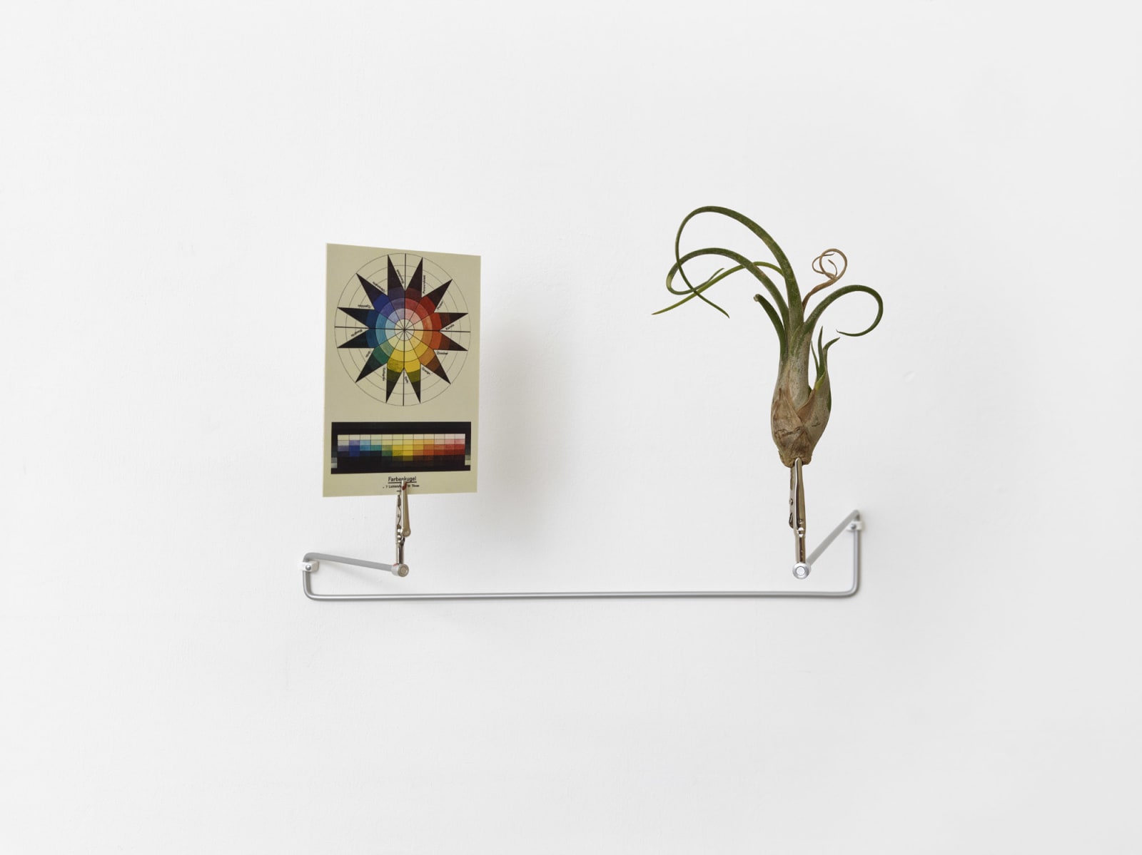 Ulrich Vogl, Two friends, 2016
