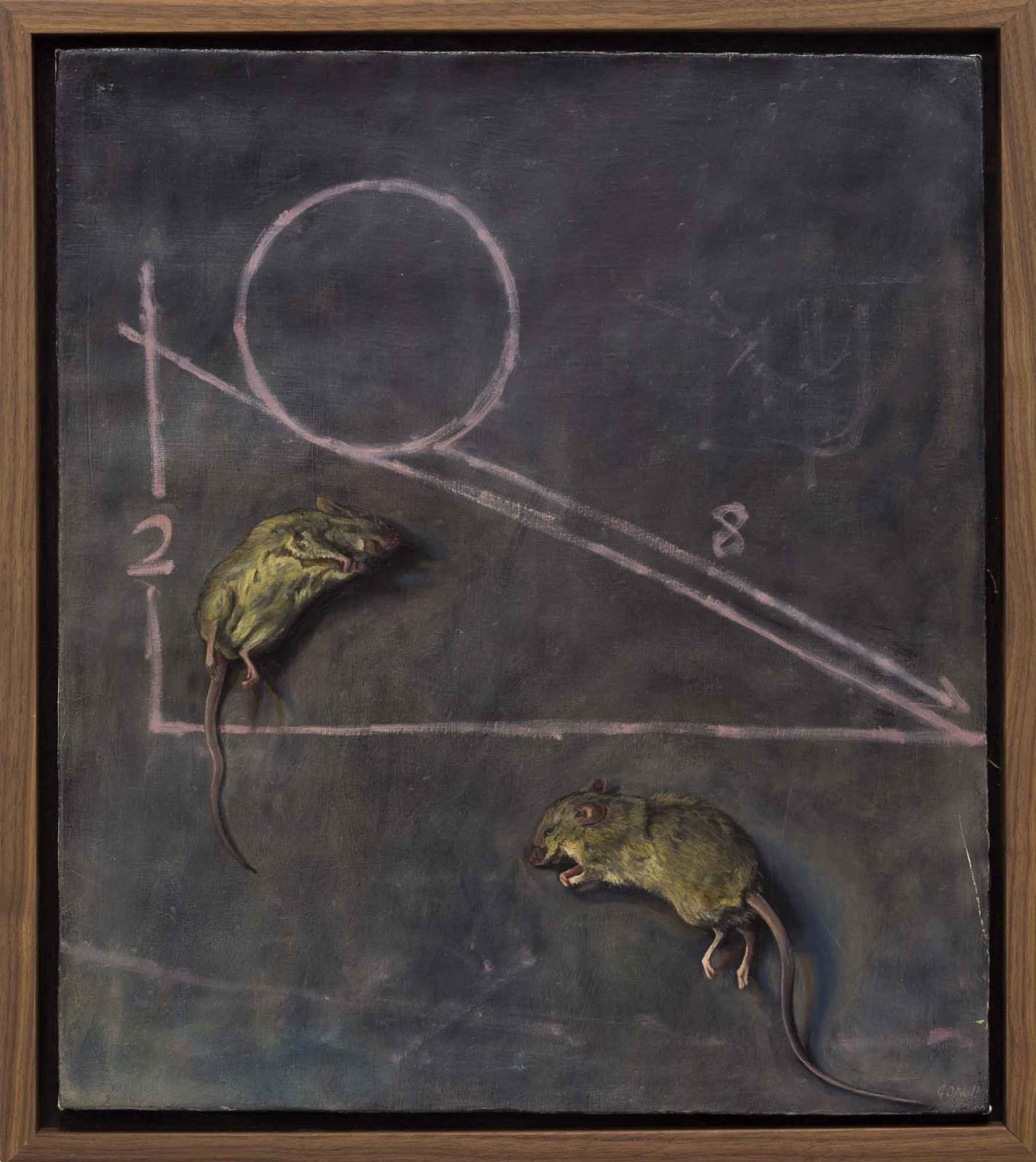 Geraldine O’ Neill, Gravity, 2009