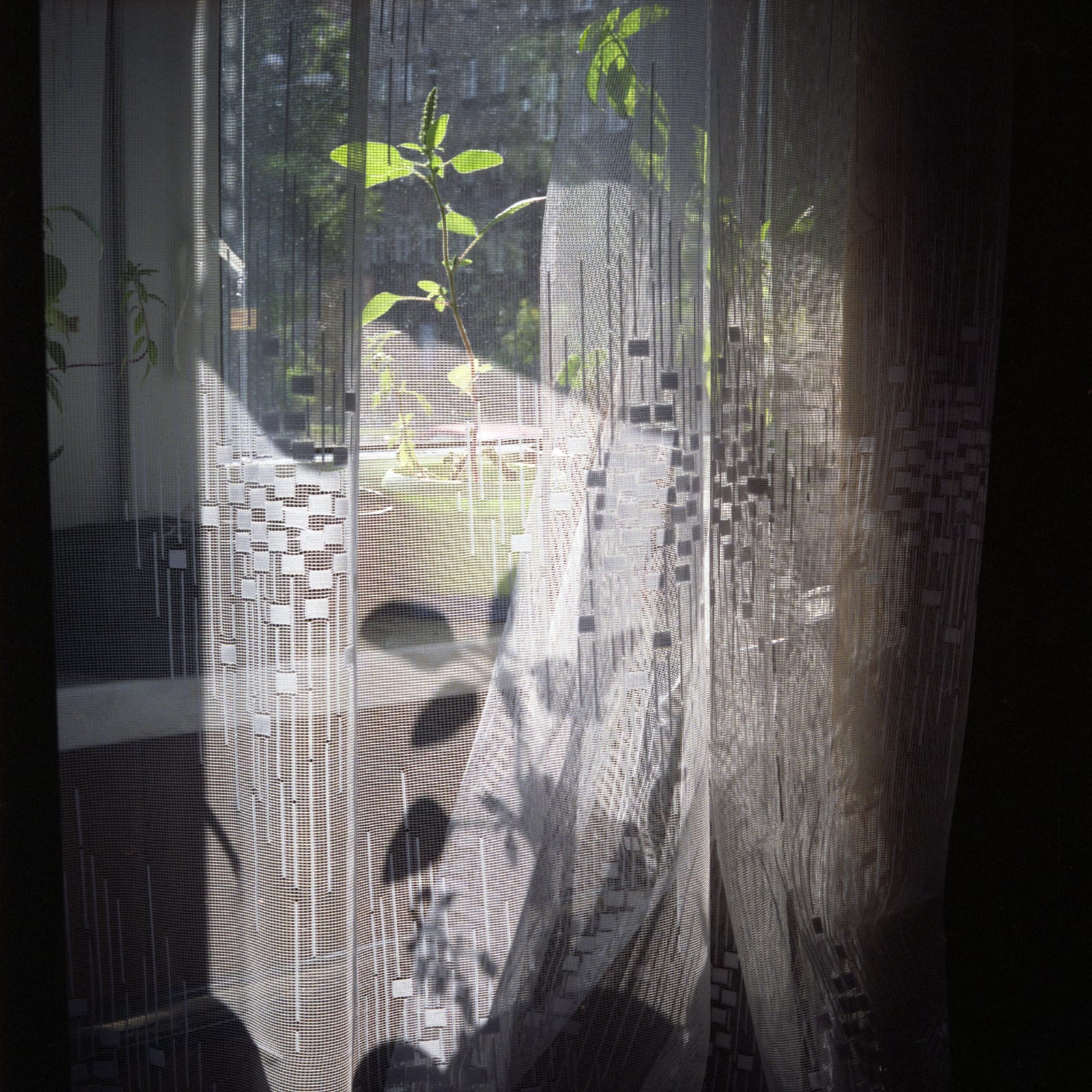 Izabela Szczutkowska, Untitled (0154), 2013