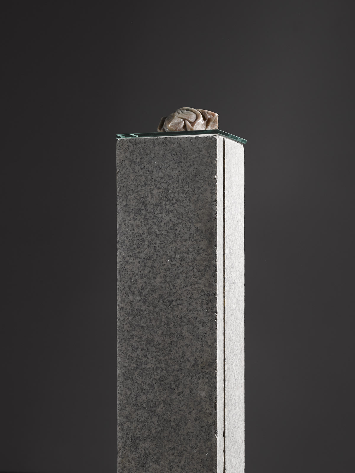 Christopher Mahon, I Wish It Had Been Vini, 2016