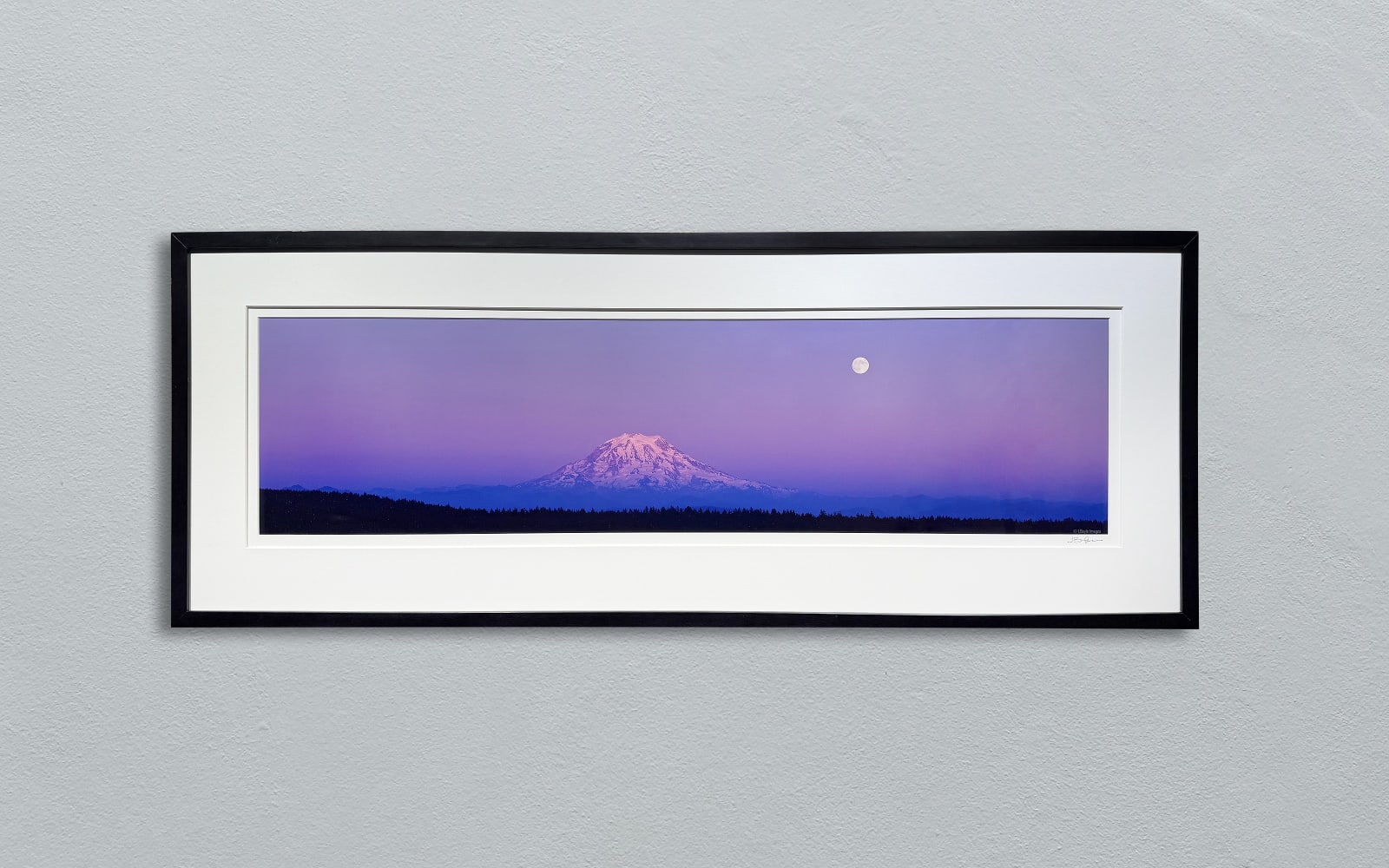 JOE BOYLE, JOE BOYLE FALL RISING